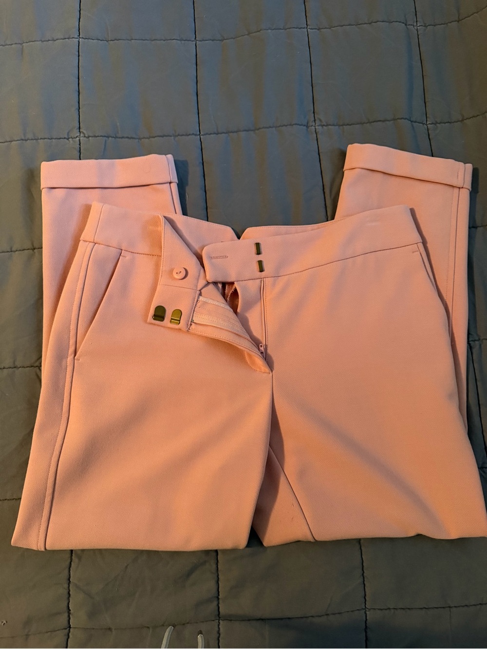 LOFT Blush Pink Tailored Marisa Fit Dress Pants